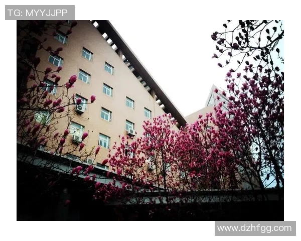 小甘笔记带你走进足球明星的精彩世界与成长故事