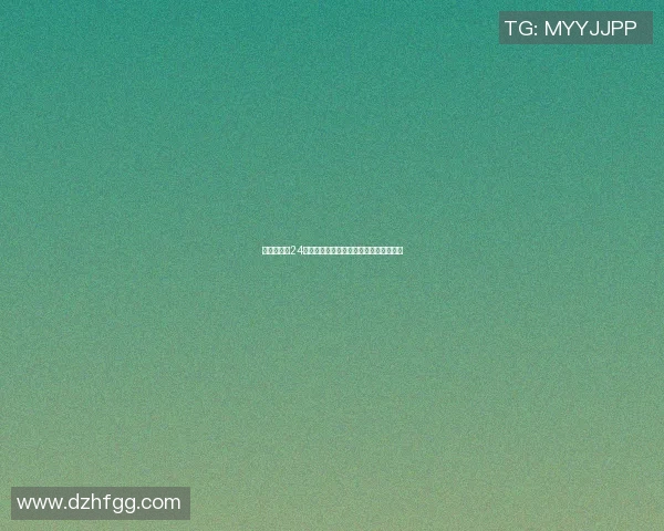 篮球明星衣24号的传奇故事与背后不为人知的奋斗历程